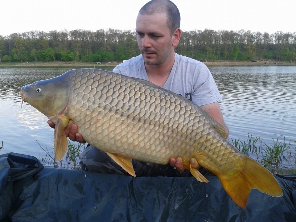 2015 - 111680329520841748244024071776366201017421n.jpg